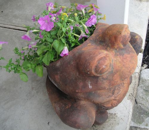 Frog_Planter_sized.jpg