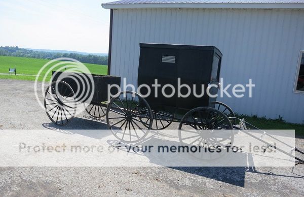 Amish%20Buggy_zps0qpowmhm.jpg