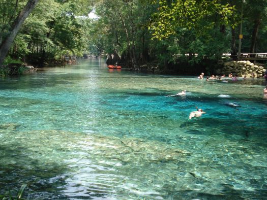 Ginnie_Springs-1.jpg