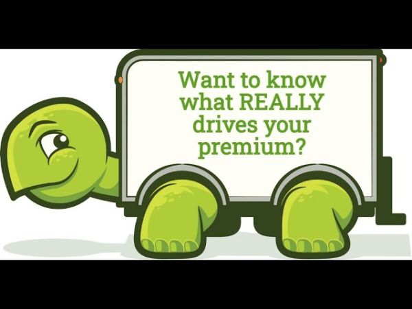 CIS Trucker Turtle explains Truck Insurance