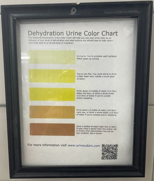 Hydration chart