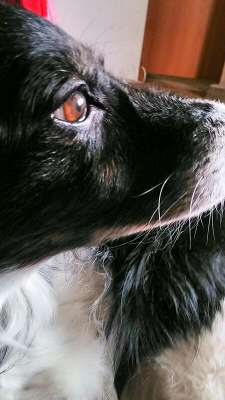 My little Missy Girl