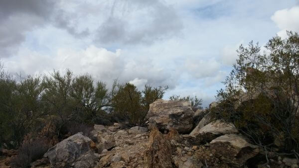 A view of hilltop inside the Joshua Tree National Forrest 