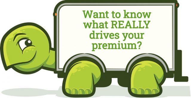 Trucker Turtle Want to Know What REALLY Drives Your Premium