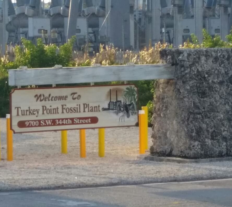 Turkey Point Fossil Plant