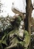 statue_and_bird.jpg