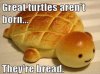 TurtleBread.jpg