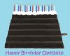 Happy Birthday Opel2010.jpg