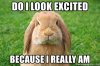 do-i-look-excited-because-i-really-am.jpg do-i-look-excited-because-i-really-am.jpg