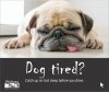 road-safety-campaign---dog-tired.tmb-sm.jpg
