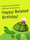 birthday turtle.png