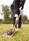 businessman-picking-up-droppings-shovel-outdoors-34429940.jpg