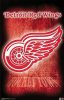 redwings2.jpg
