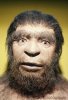 E4380138-Classic_Neanderthal_Man-SPL.jpg E4380138-Classic_Neanderthal_Man-SPL.jpg