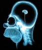 small-brain-shanghai-homer-simpson.jpg small-brain-shanghai-homer-simpson.jpg