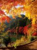 Autumn colours.jpg