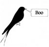boo bird.jpg