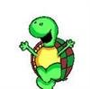 turt.jpg