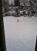 Snow3.jpg