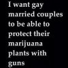 guns gay weed.jpg