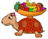 graphics-turtles-881196.gif.jpg