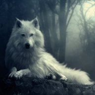 WhiteWolfWhispers