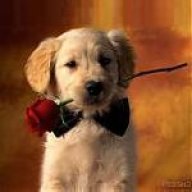 Valerie Ann Richardson