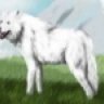 whitewolf