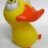 PlasticDuck