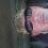 lumbee