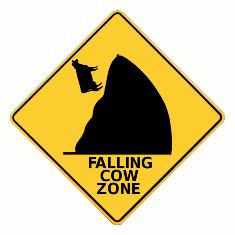 falling-cow.jpg