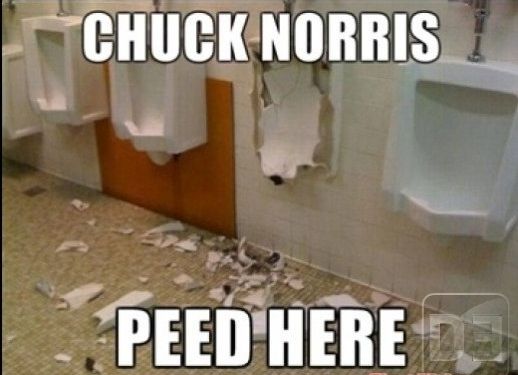 chuck-norris-peed-jere.jpg