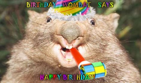 BIRTHDAYwombat.jpg