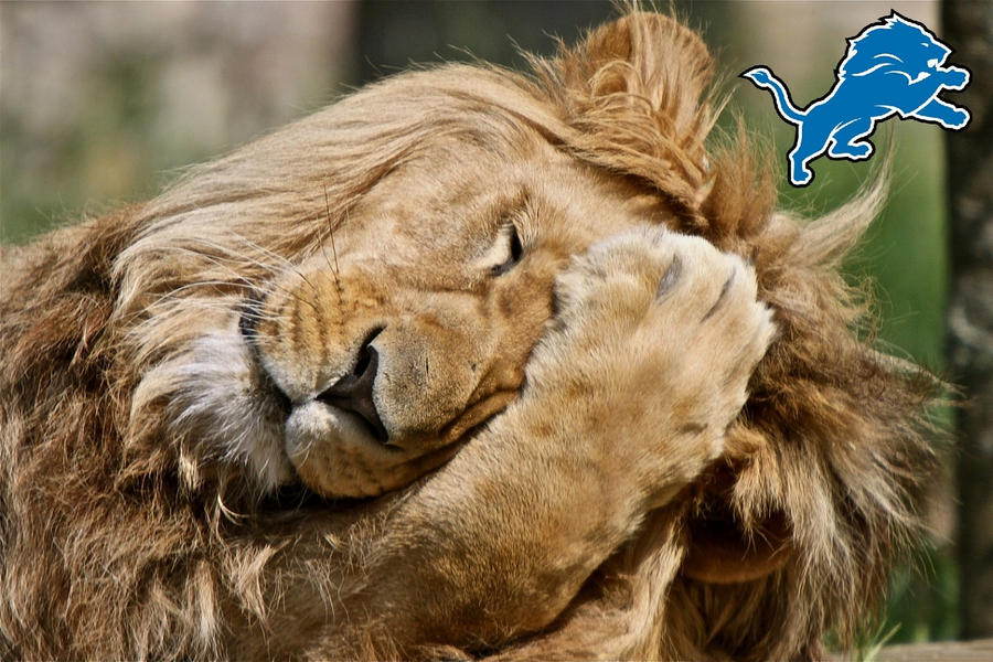 detroit_lions_facepalm_by_batman2828-d5fsk3q.jpg