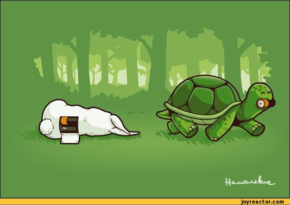 funny-pictures-battery-turtle-rabbit-366010.jpeg