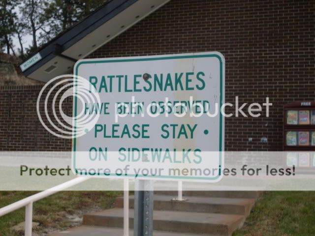 rattlesnakesign.jpg