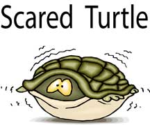 scared-turtle-s.jpg