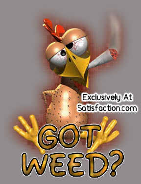 57117chicken_got_weed.gif