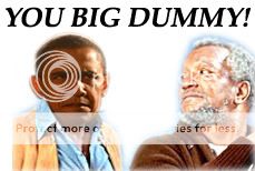 Big-Dummy-1.jpg
