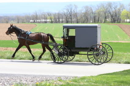 amish-wagon-opt.jpg