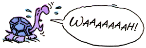 turtle.gif