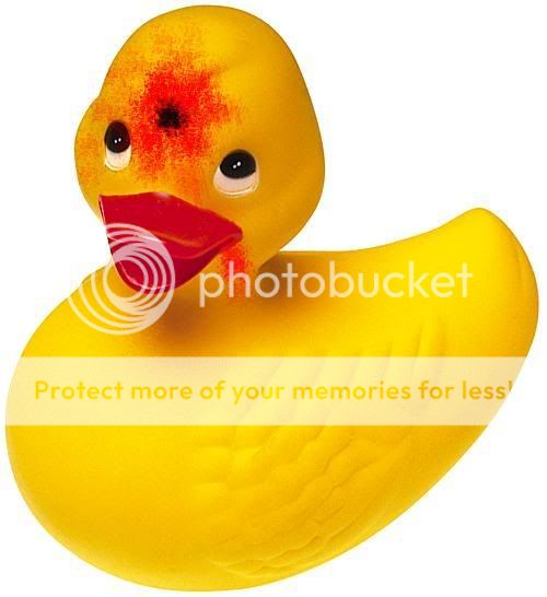 Deadducky.jpg