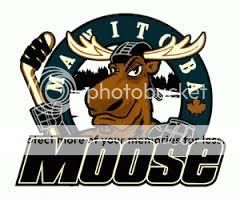 Manitoba%20Moose_zpscxdziq51.jpg