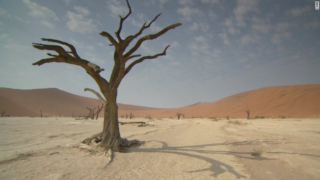 131008155509-namib-desert-dead-tree-horizontal-gallery.jpg