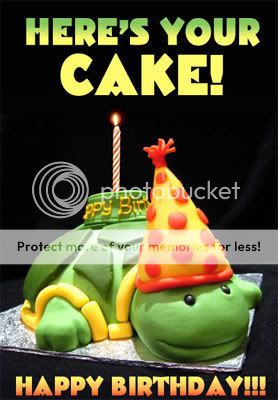 turtle-cake.jpg