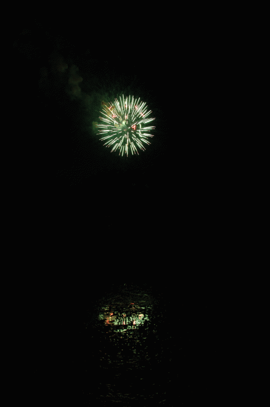 Animated_Fireworks.gif