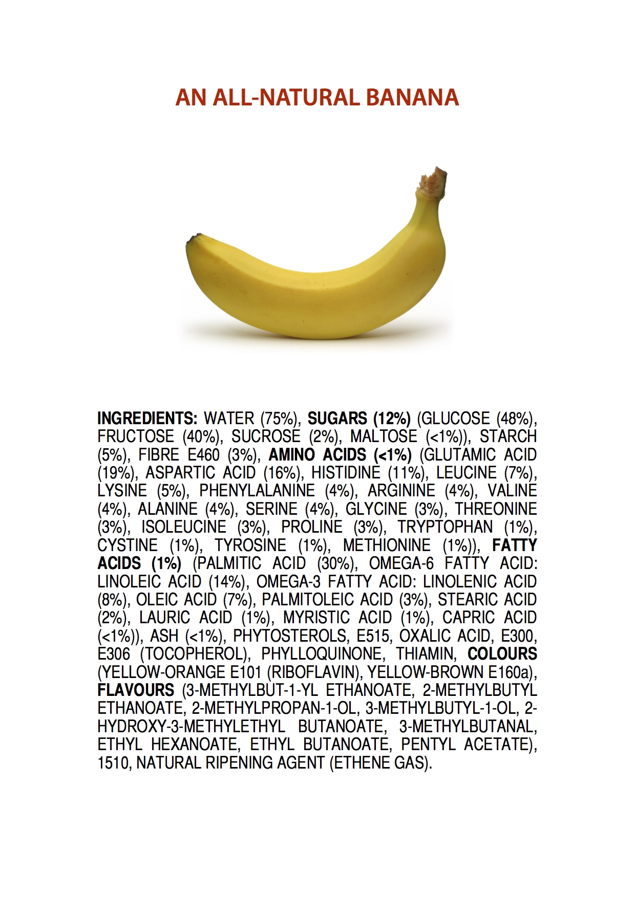 ingredients-of-a-banana-poster-4.jpeg